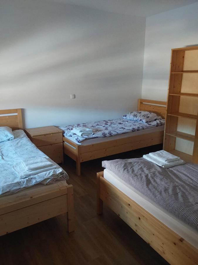 Apartma Dominik ゴレンスカ地方 エクステリア 写真